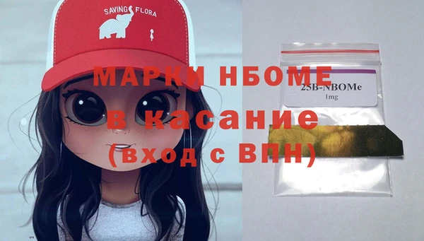 твердый Абаза