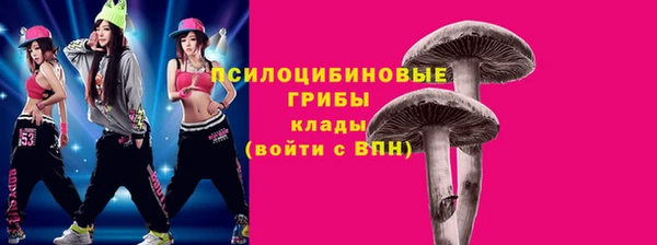 твердый Абаза