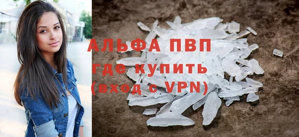 твердый Абаза