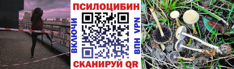 купить   Урень  сайты даркнета клад  Псилоцибиновые грибы ЛСД 